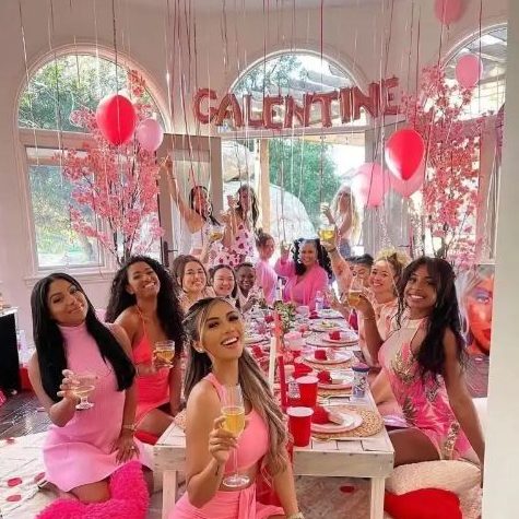 Pink Barbiecore Galentine's Party