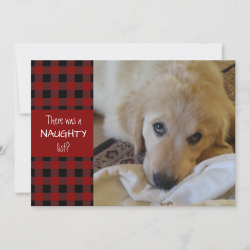 $2.10 per card Naughty or Nice Red Plaid HAPPY HOLIDAYS Holiday Card