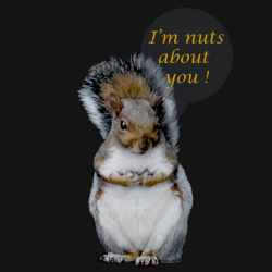 I'm Nuts About You T-Shirt